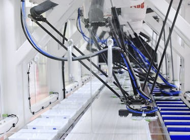 ABB Flex Picker robot