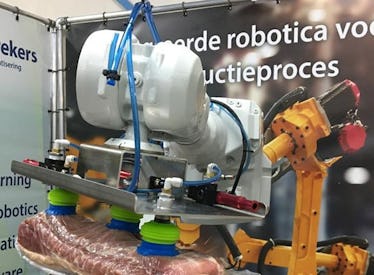Robot IA